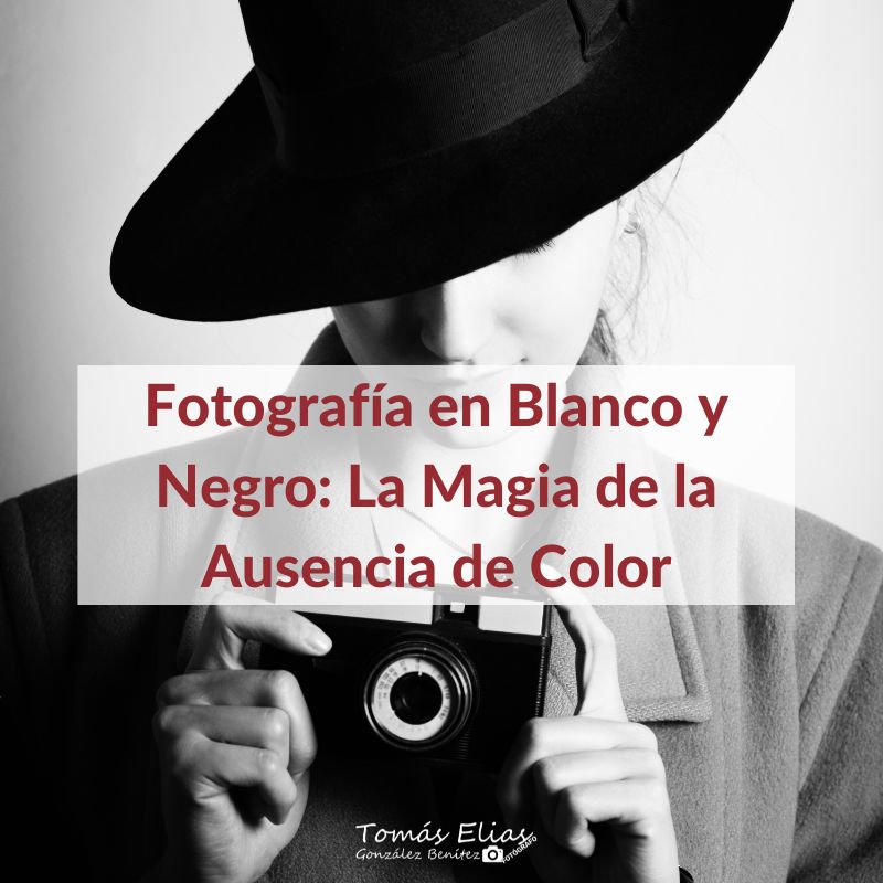 Fotografía en Blanco y Negro La Magia de la Ausencia de Color